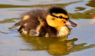 中国给水排水杂志 中国给水排水杂志